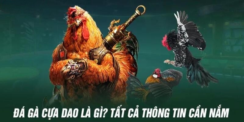 Đá gà cựa dao 98WIN