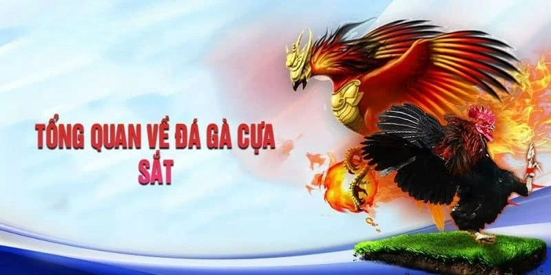 Các thông tin giới thiệu về đá gà cựa sắt